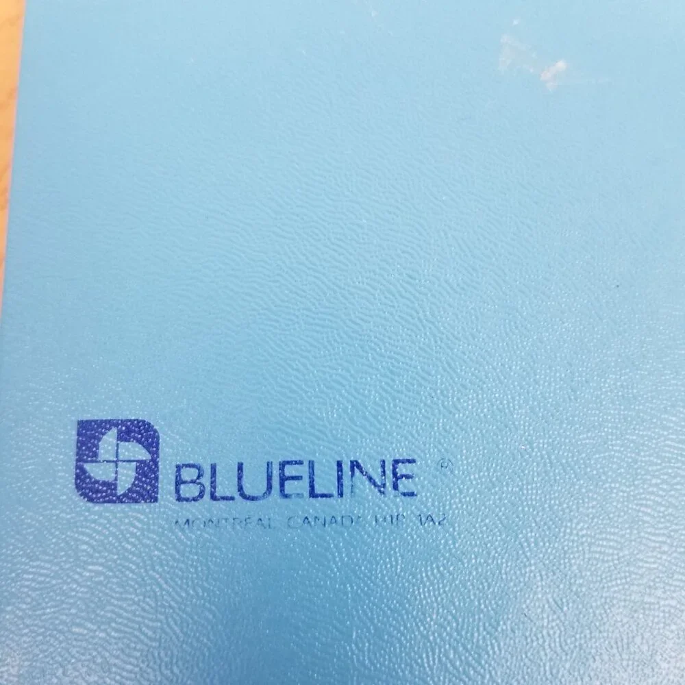 Blueline vintage ledger